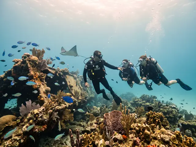 Foto de Paraiso Dive Cartagena en Cartagena