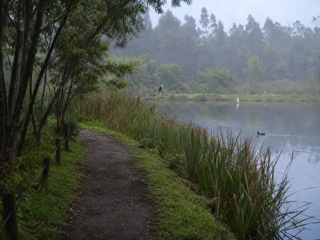 Foto de Humedal Córdoba en Bogotá