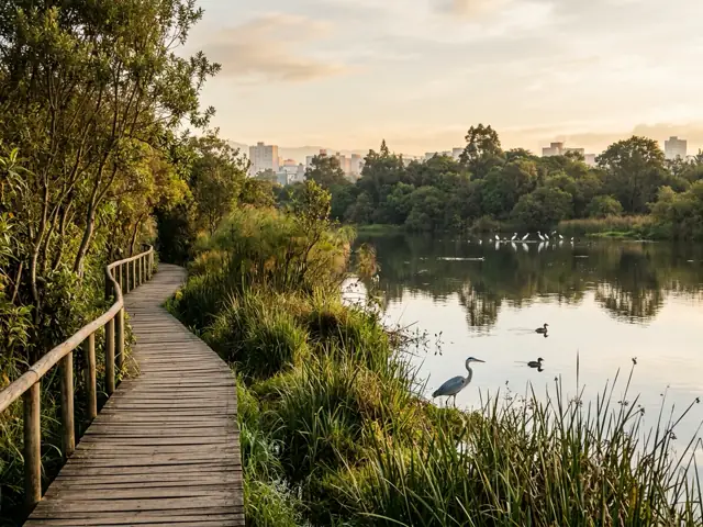 Foto de Humedal El Salitre en Bogotá