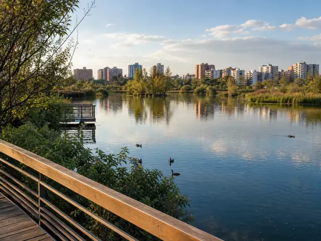 Photo of Humedal Santa María del Lago in Bogotá