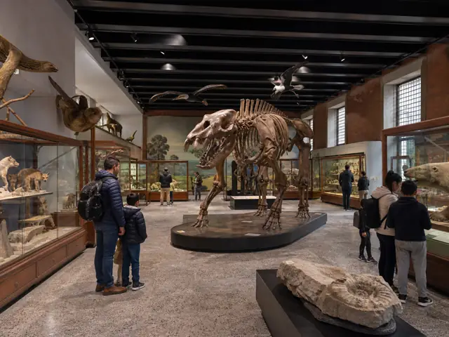 Photo of Museo de Historia Natural - Universidad Nacional in Bogotá