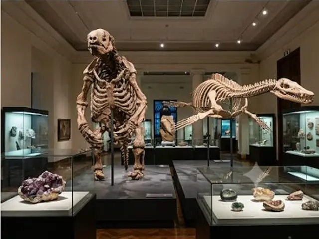 Foto de Museo Geológico Nacional José Royo y Gómez en Bogotá