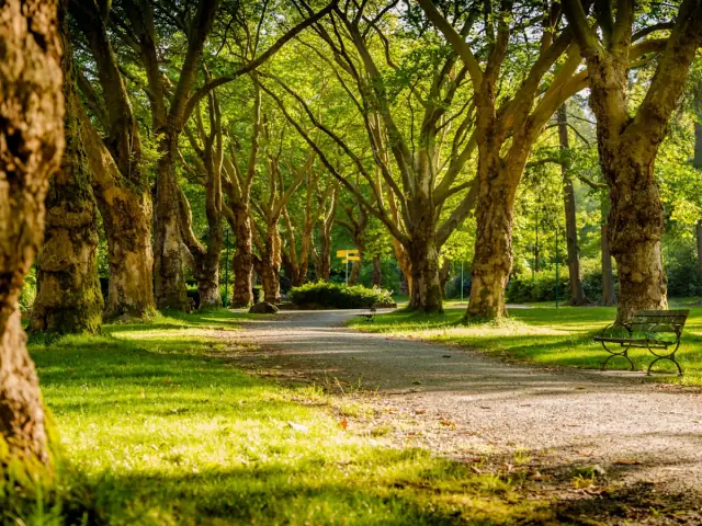 Foto de Parque Cedritos en Bogotá