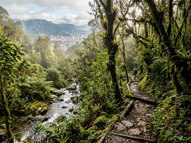 Photo of Sendero San Francisco - Vicachá in Bogotá